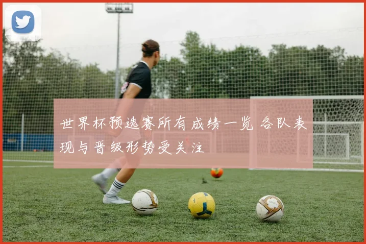 世界杯预选赛所有成绩一览 各队表现与晋级形势受关注