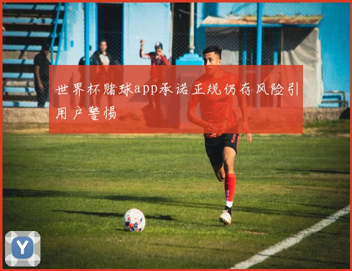 世界杯赌球app承诺正规仍存风险引用户警惕