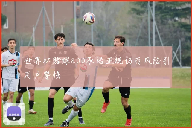 世界杯赌球app承诺正规仍存风险引用户警惕