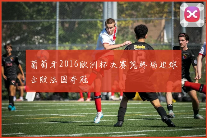 葡萄牙2016欧洲杯决赛凭终场进球击败法国夺冠