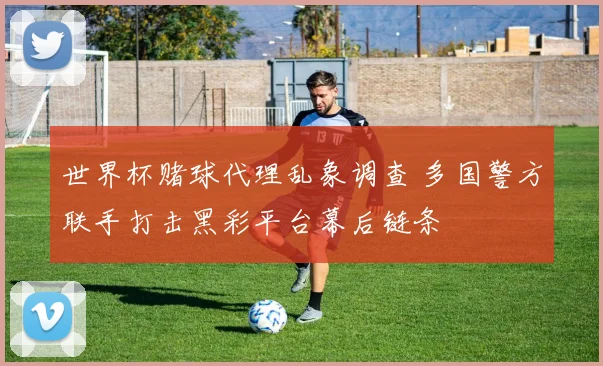 世界杯赌球代理乱象调查 多国警方联手打击黑彩平台幕后链条